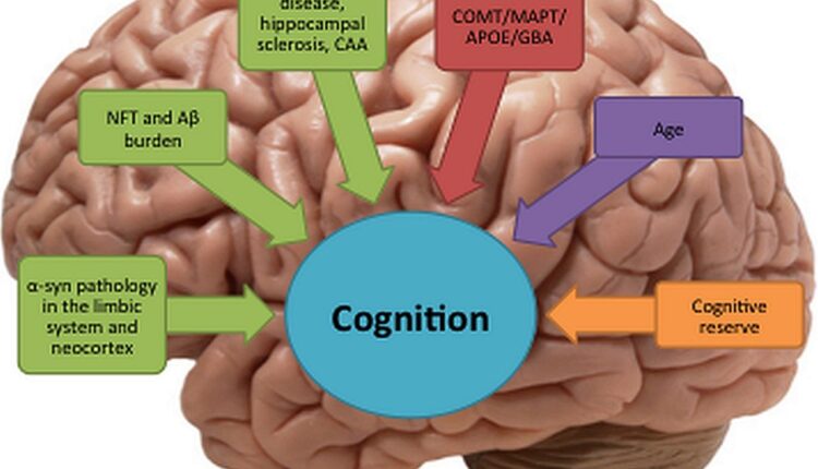 Causes of Cognitive Disorders